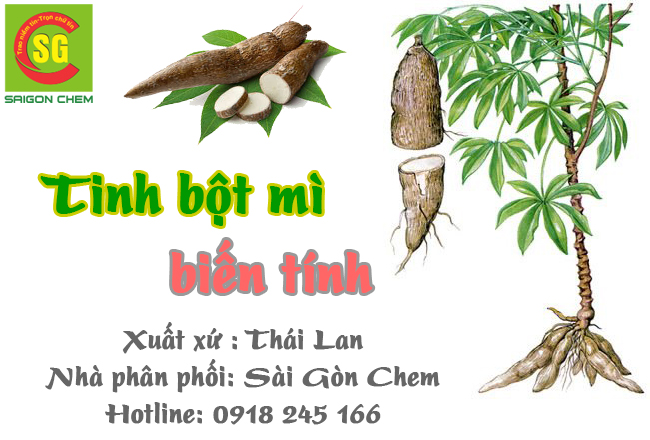 tinh bột mì biến tính