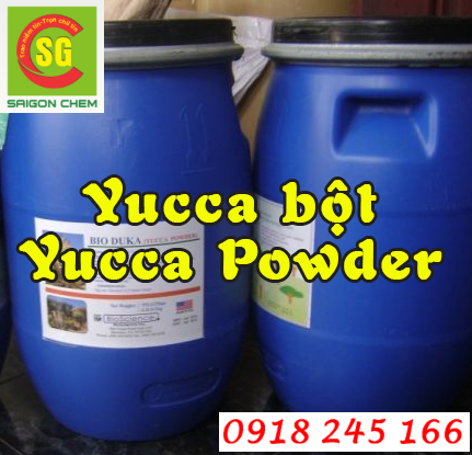 Yucca bột - Yucca Powder