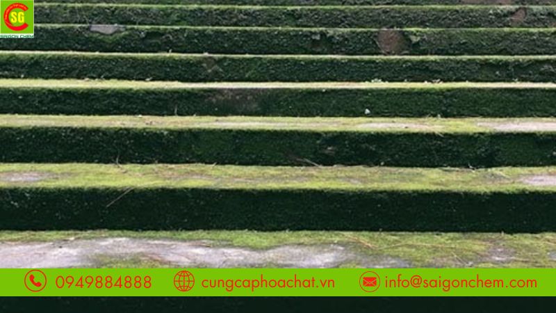 Bột Clo có khả năng tẩy rửa hiệu quả