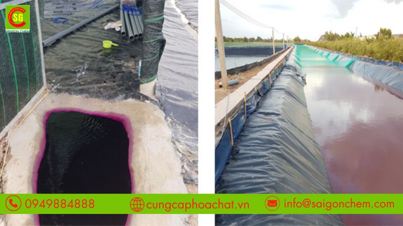 Quy tr&igrave;nh ứng dụng thuốc t&iacute;m