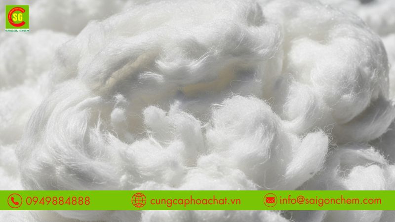 Ảnh hưởng đến qu&aacute; tr&igrave;nh ph&acirc;n hủy trong nước