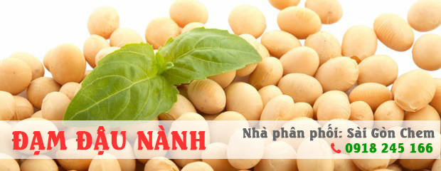 ĐẠM ĐẬU NÀNH