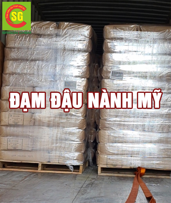 ĐẠM ĐẬU NÀNH MỸ